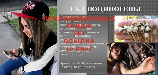 соль ск Алексин