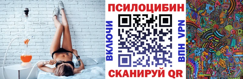 сколько стоит  Полярные Зори  Галлюциногенные грибы Cubensis 