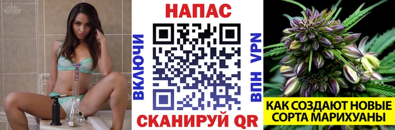 хочу   Полярные Зори  blacksprut ссылка  Каннабис семена 